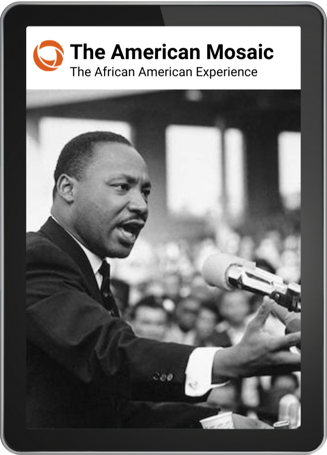 African American Experience: The American Mosaic African American Experience: The American Mosaic
